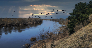 Вновь весною из полёта... / ***