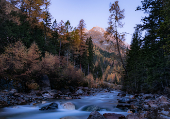 Нежный поток / ***