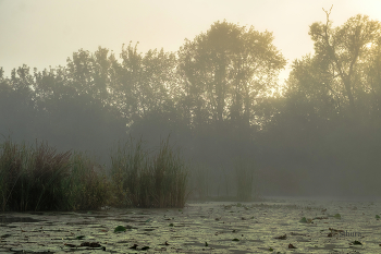 Теплое утро сентября. / Озеро Студёное.