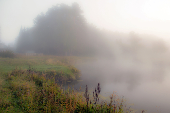 Осенний туман / 10 сентября