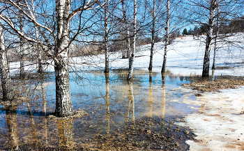 Весна. / ***