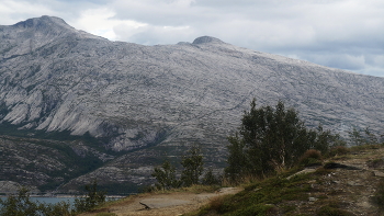 Лысая гора / ***