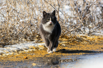 после гулянок / ***