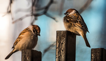 &quot;Брат 2&quot;... / ***