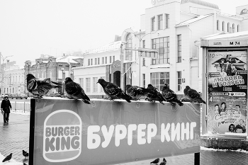 Голуби... / ***