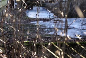 Солнечные лучи. / ***