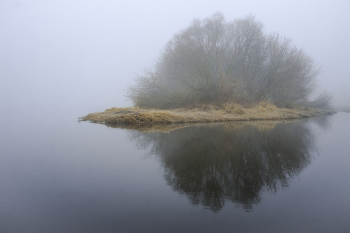 Островок в тумане. / Весна на Оке.