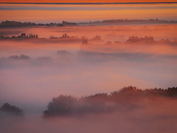 Цвет зари / Заря