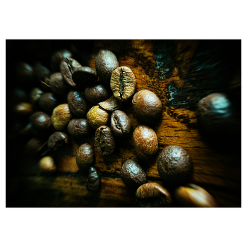 Coffee / Coffee