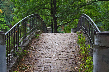 Кузьминский парк / В Кузьминском парке в Москве. Сентябрь 2023.