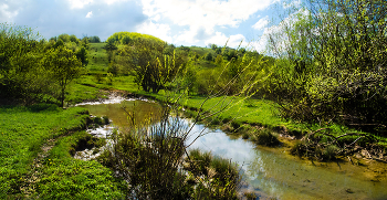 Зелёная, зелёная трава / Крым Пересыхающий ручей Субатхан