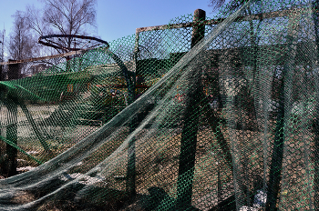  / В городском парке...
