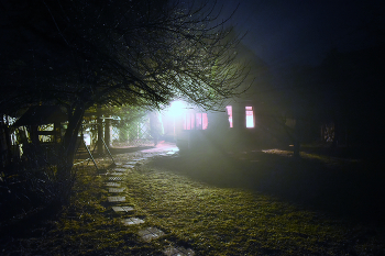 &quot;Пролилась на перышки синице зябкая ночная синева...&quot; / полночь...