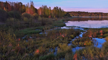 Вечерние, весенние оттенки / Вечерние, весенние оттенки