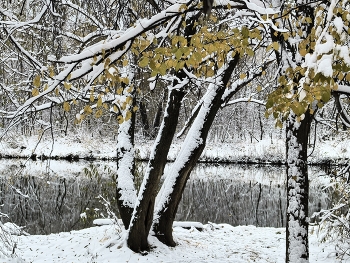 Водная / Водная