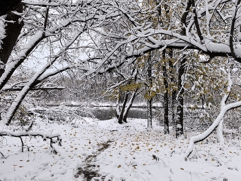 Водная / Водная
