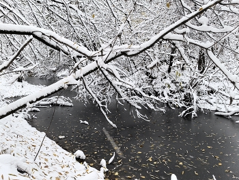 Водная / Водная