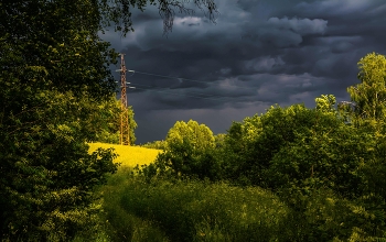 перед грозой / лето, гроза, Подмосковье