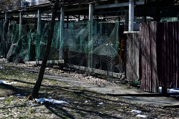  / В городском парке...