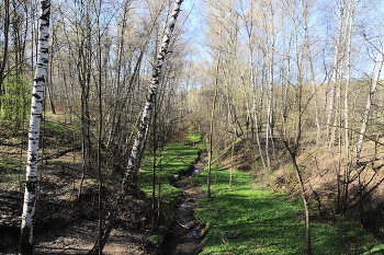 первые краски весны / весна