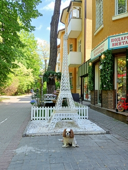 Парижанка / ***
