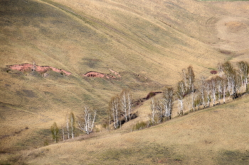  / Холмы южнее Красноярска. Почти Восточный Саян.