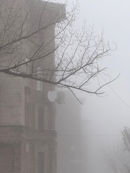Донбасс / Город Петровское, ЛНР