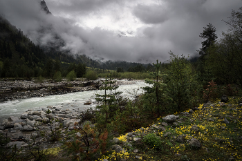 Dolra River In May / Дождливая весна в долине речки Долра близ Мазери