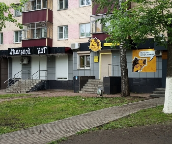  / городская улица в мае