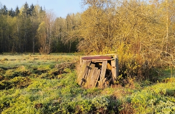  / ***