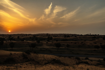 Пустыня Руб-эль-Хали. ОАЭ. / ***