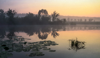 Тихо перед восходом. / Летнее утро. Озеро Сосновое.