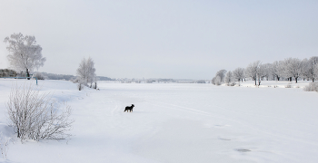 зима на Лунском... / ***