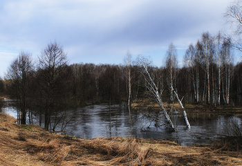 Кеза в апреле... / ***