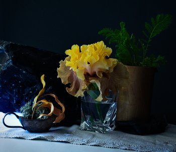 Элегантность ириса / Ирисы в моем саду - хочется любоваться...
Iris in my garden (a series)