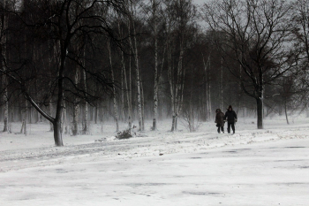 Это не ч/б, это метель / Метель в Петрозаводске