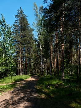 Пейзаж / ***