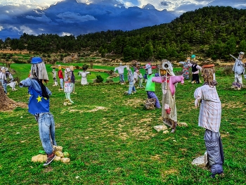  / Vallbona de les Monges - comunitat biodiversitat art reciclage - L'Urgell