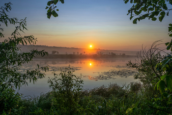 Лето. Рассвет. / Озеро Сосновое.