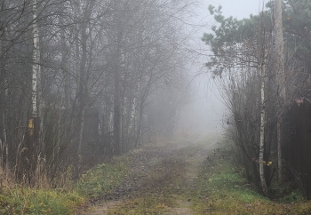 "Вполне осенние деньки - такая морось, сырость, серость..." / "Вполне осенние деньки - 
 Такая морось, сырость, серость,
 А мне тепла бы так хотелось,
 Законам жизни вопреки ...
 Ведь не успеешь оглянуться,
 Уж осень жизни за окном
 Тебя накроет вечным сном
 И не успеешь оглянуться ..."
 Л.Кузьминская