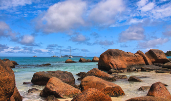 Anse Lacio / Сейшелы, остров Праслин, пляж Anse Lacio