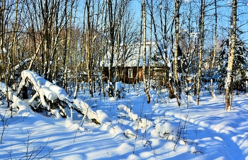 "Вечор, ты помнишь, вьюга злилась, на мутном небе мгла бесилась..." / ***