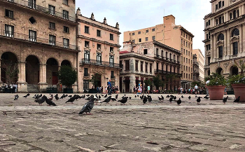 На площади в Гаване / На площади в Гаване