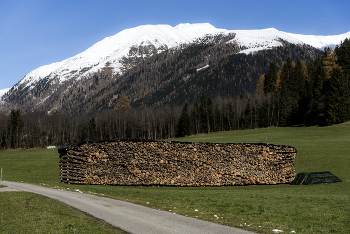 Заготовка на зиму / ***
