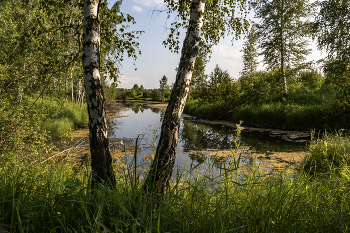 Середина лета.Жаркий день / ***