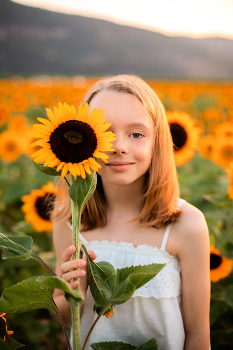 / Children's photo session in sunflowers