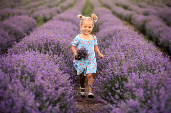  / Children's photo session in a lavender field