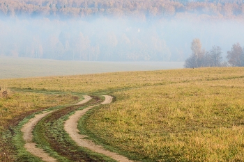 &quot;На осеннем рассвете в туман ковыляет дорога ...&quot; / ***