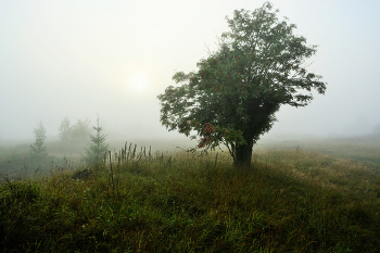 Утро за околицей ... / ***