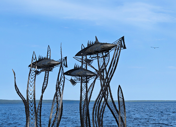 в синем море / ***